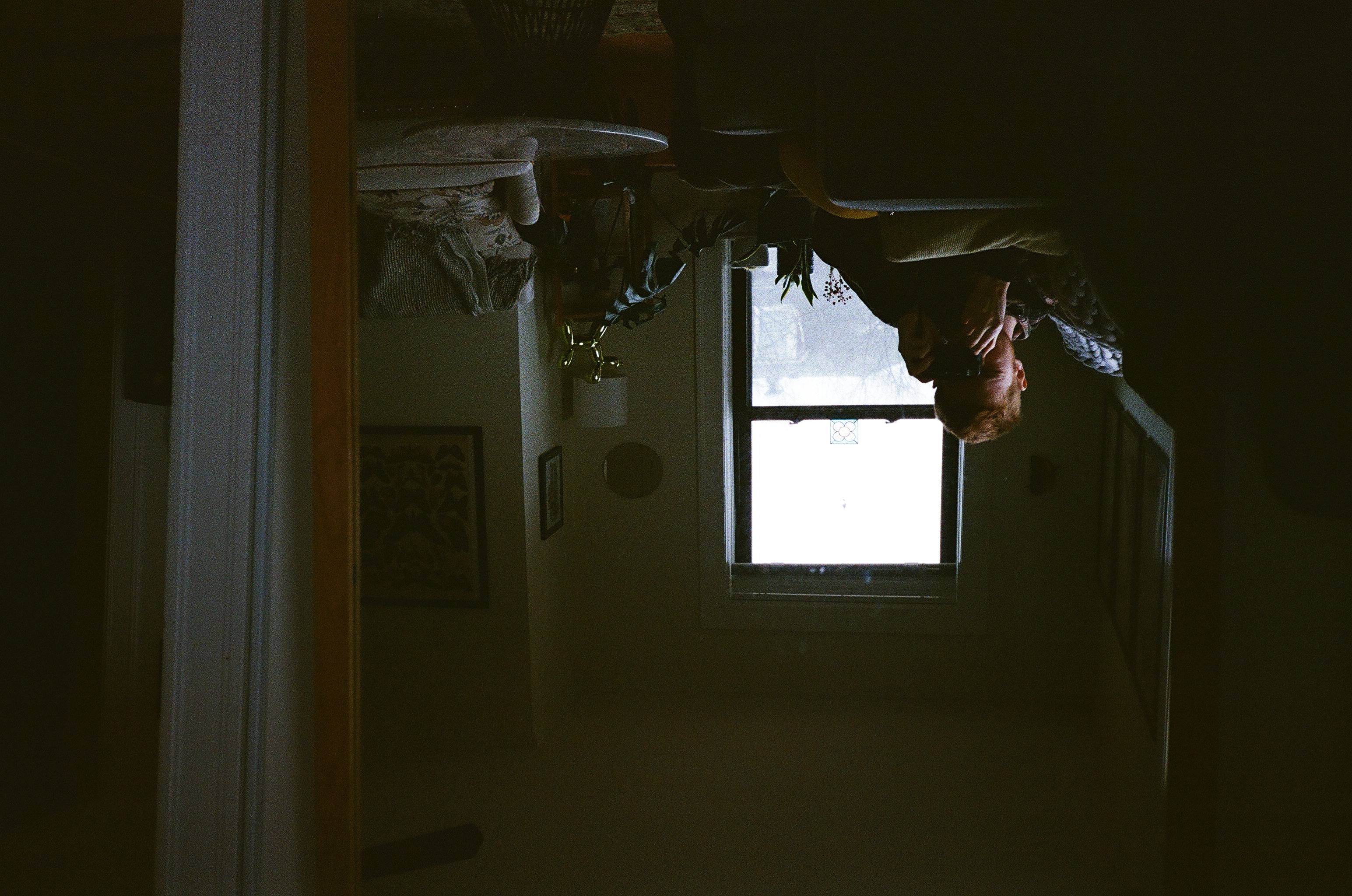 Oopsie Daisy! We're having trouble finding that image!